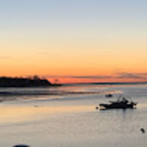 Meet your Posher, Laurel